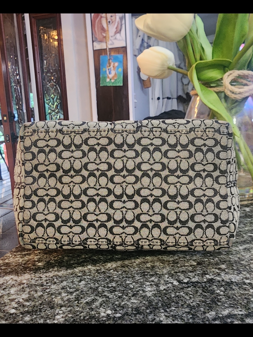 Coach Soho Mini Signature Canvas  Bag - Picture 5 of 12